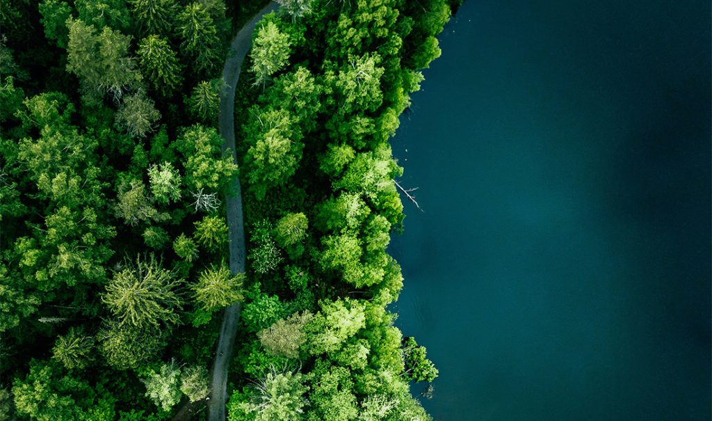 photo vue aerienne chemin foret lac large